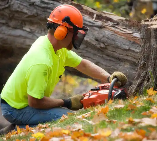 tree services Carroll